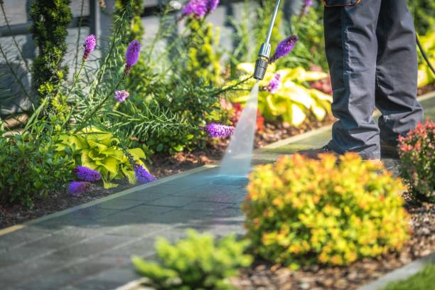 Best Patio and Deck Pressure Washing  in Debary, FL
